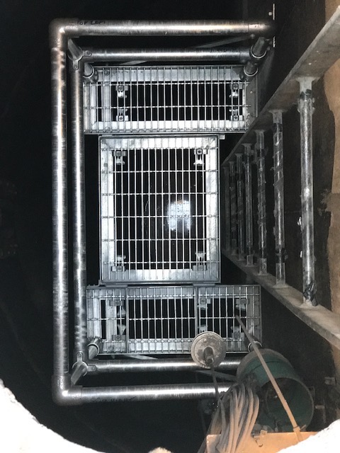 Galvanized bar-grating platforms in a vault